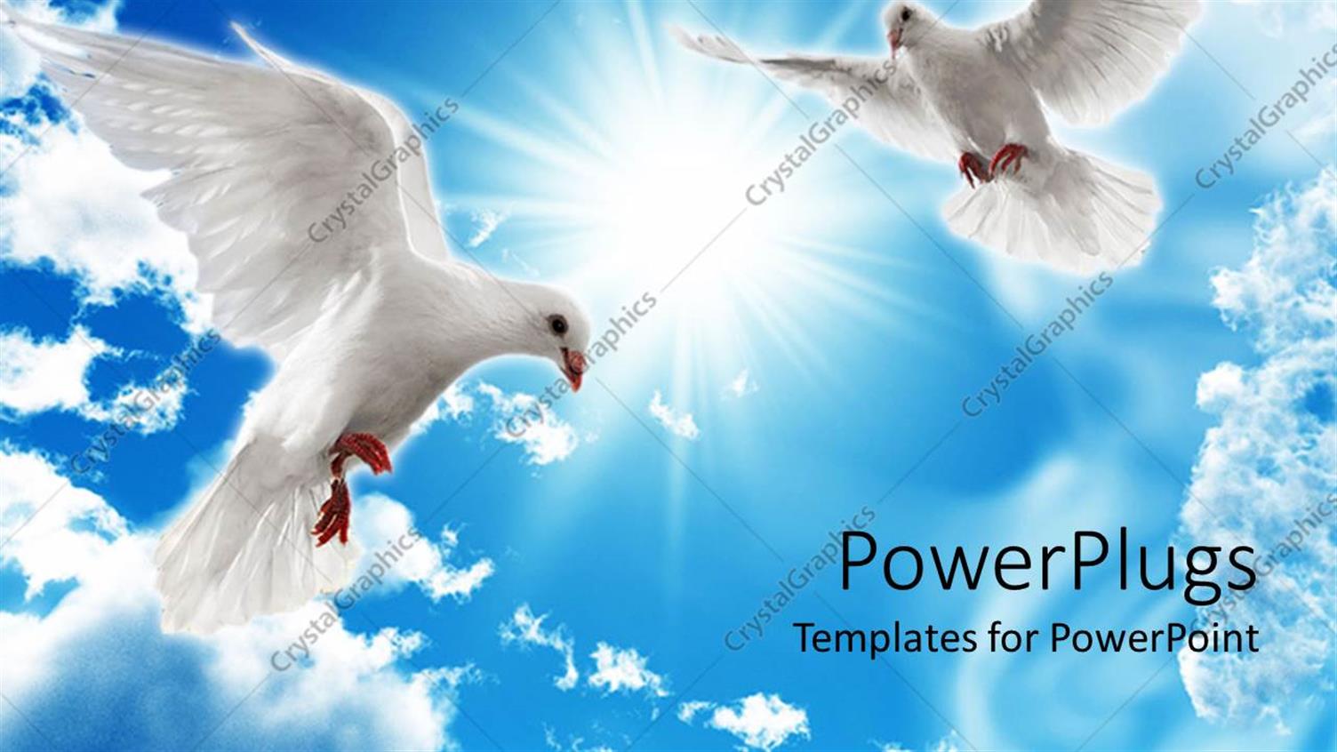 Premium Template for PowerPoint & Google Slides 