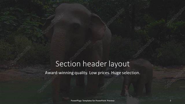Section Header presentation slide layout