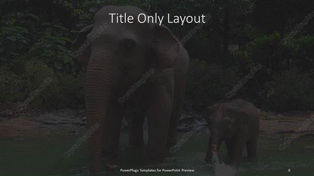 Title Only presentation slide layout