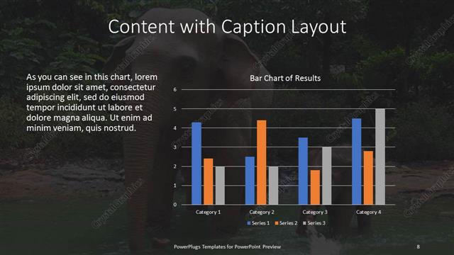 Content with Caption presentation slide layout