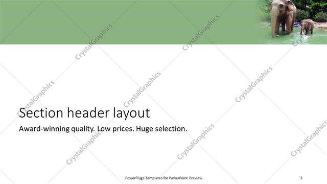 Section Header presentation slide layout