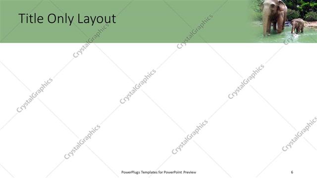 Title Only presentation slide layout