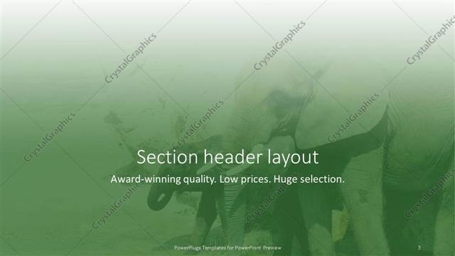 Section Header presentation slide layout