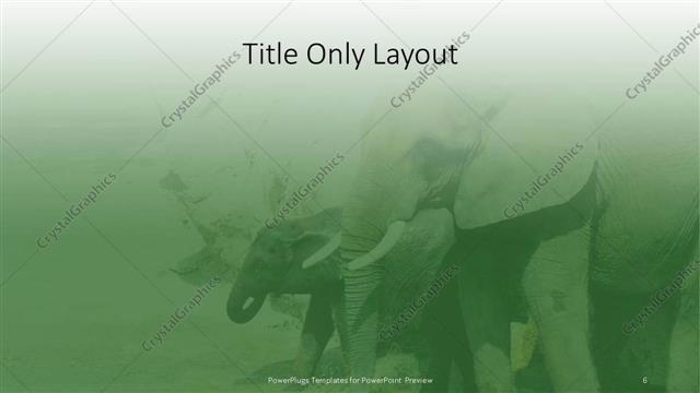 Title Only presentation slide layout