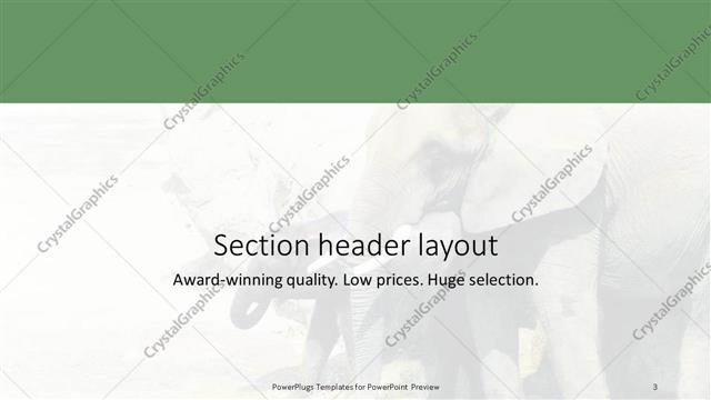 Section Header presentation slide layout