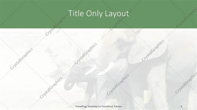Title Only presentation slide layout