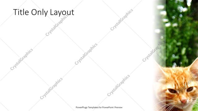 Title Only presentation slide layout