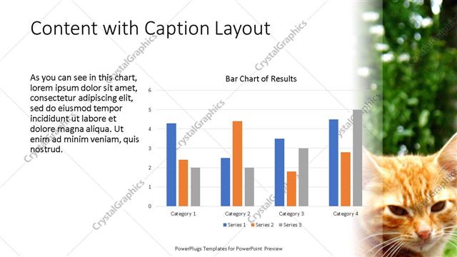 Content with Caption presentation slide layout