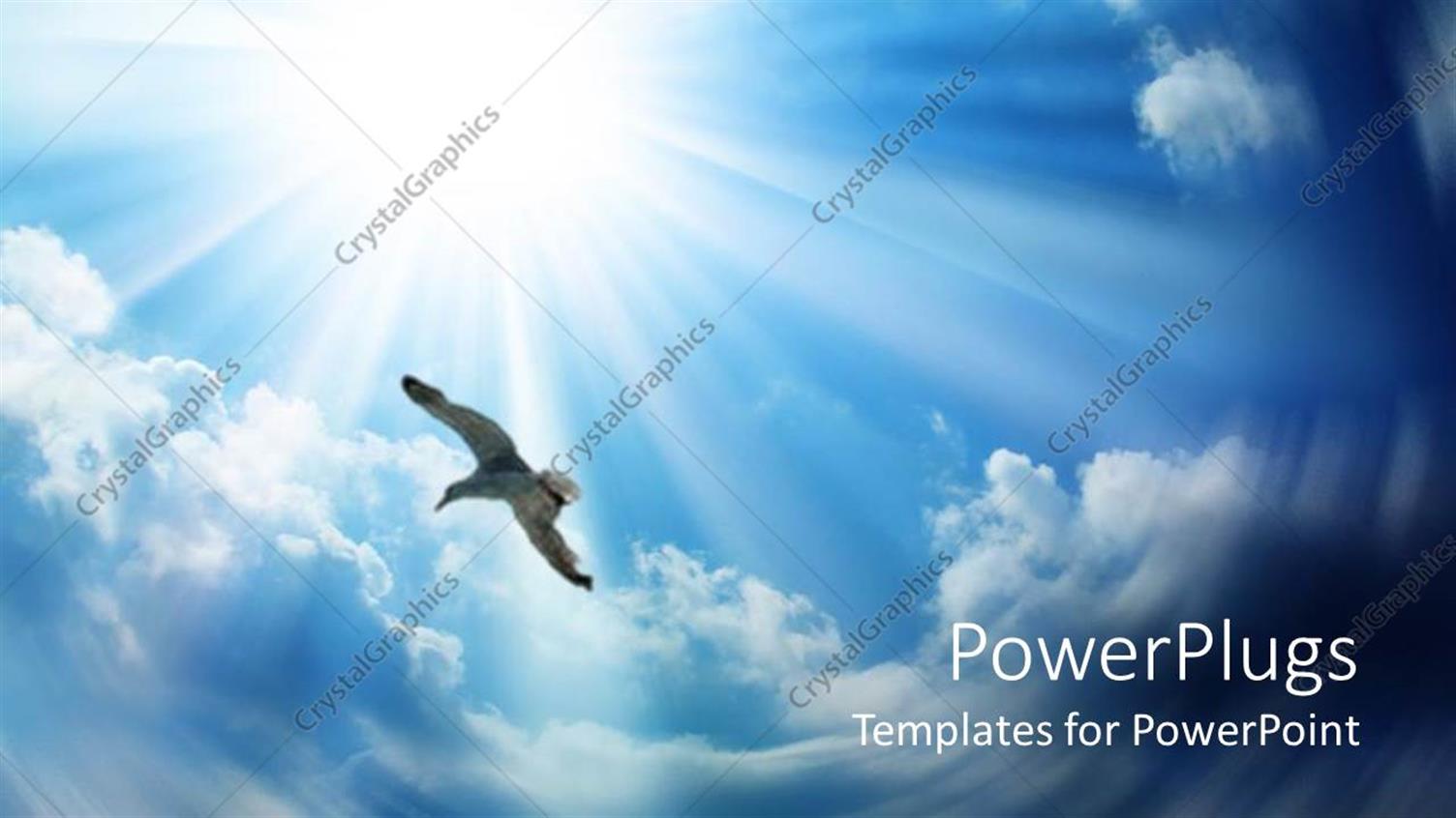 Premium Template for PowerPoint & Google Slides 