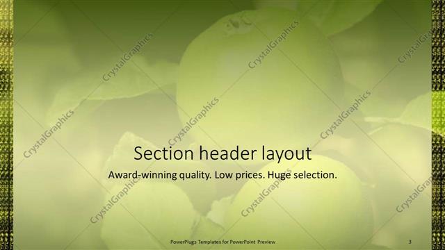 Section Header presentation slide layout