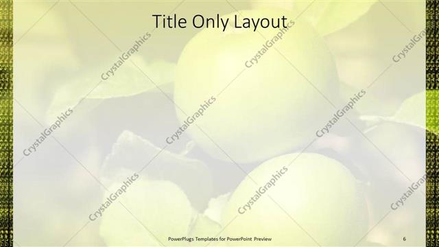 Title Only presentation slide layout