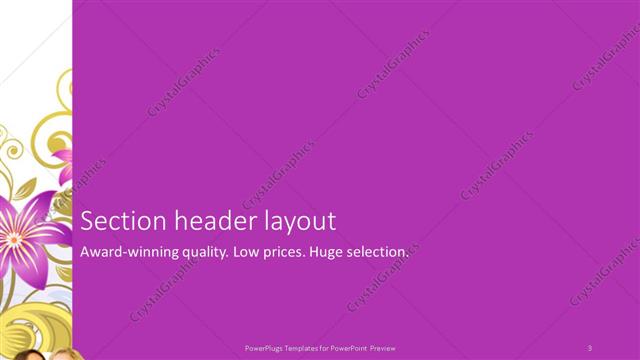 Section Header presentation slide layout