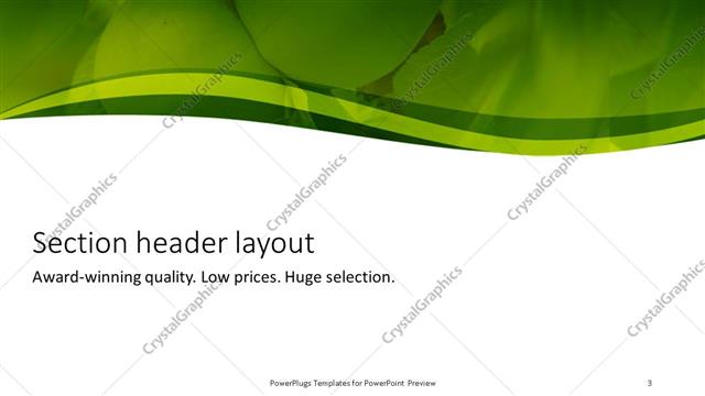 Section Header presentation slide layout