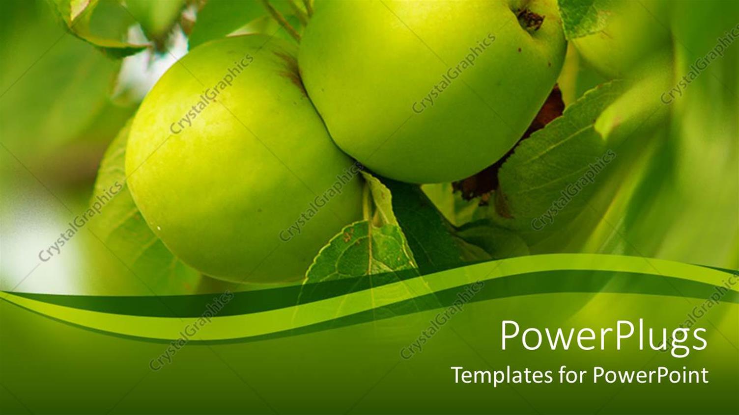 Premium Template for PowerPoint & Google Slides 