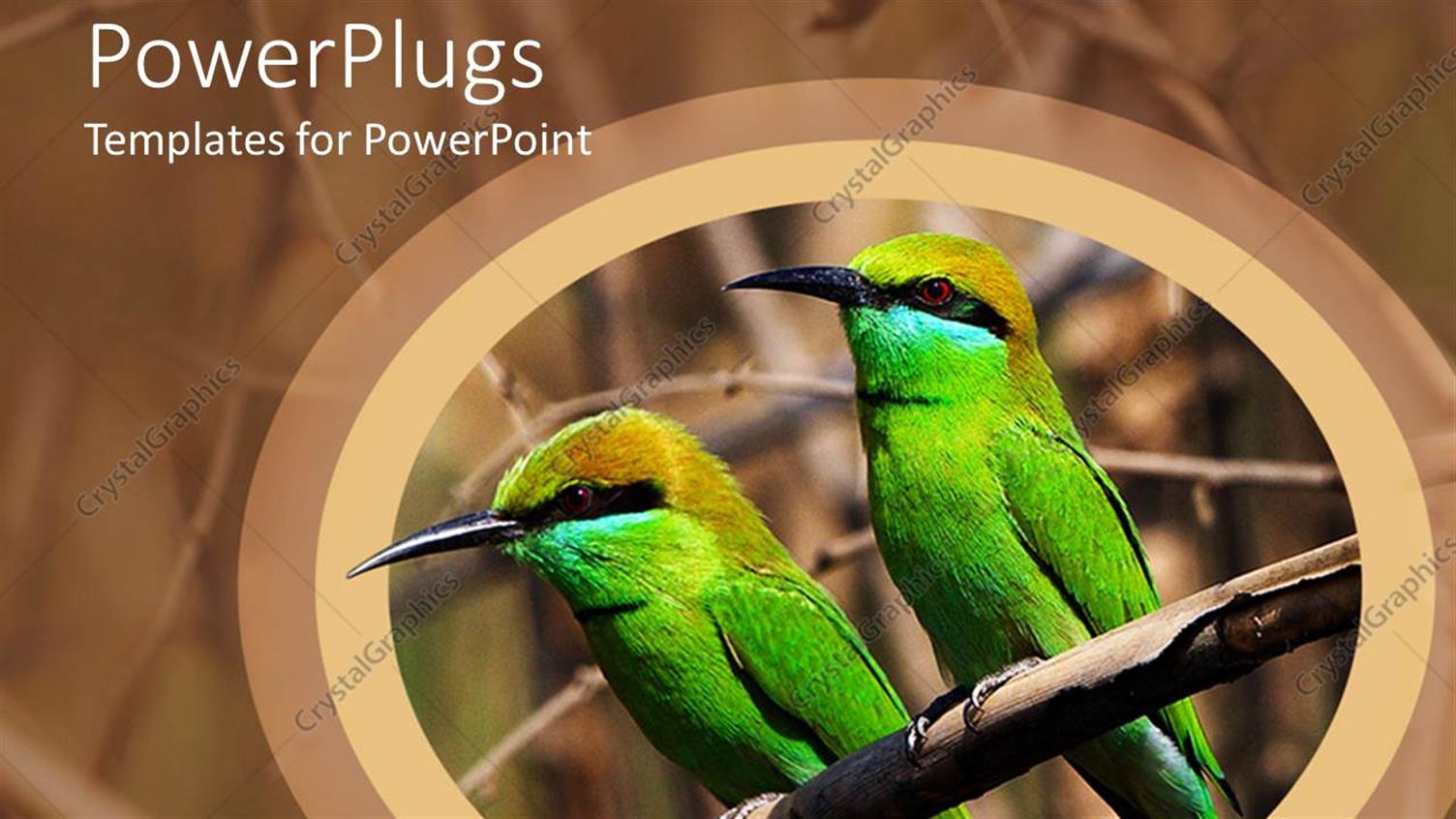 Featuring Two Green Birds on a Branch