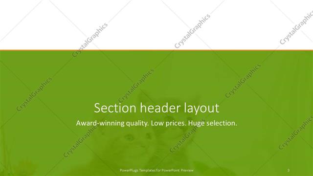 Section Header presentation slide layout