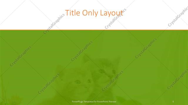 Title Only presentation slide layout