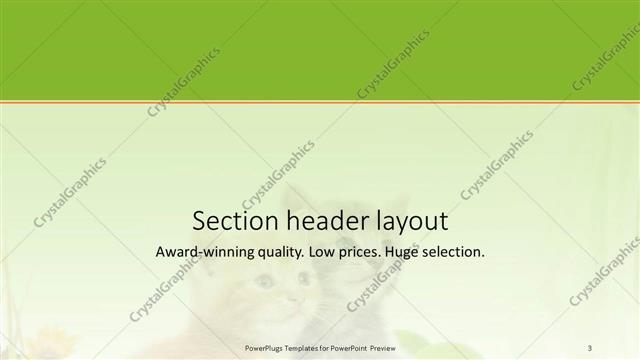 Section Header presentation slide layout