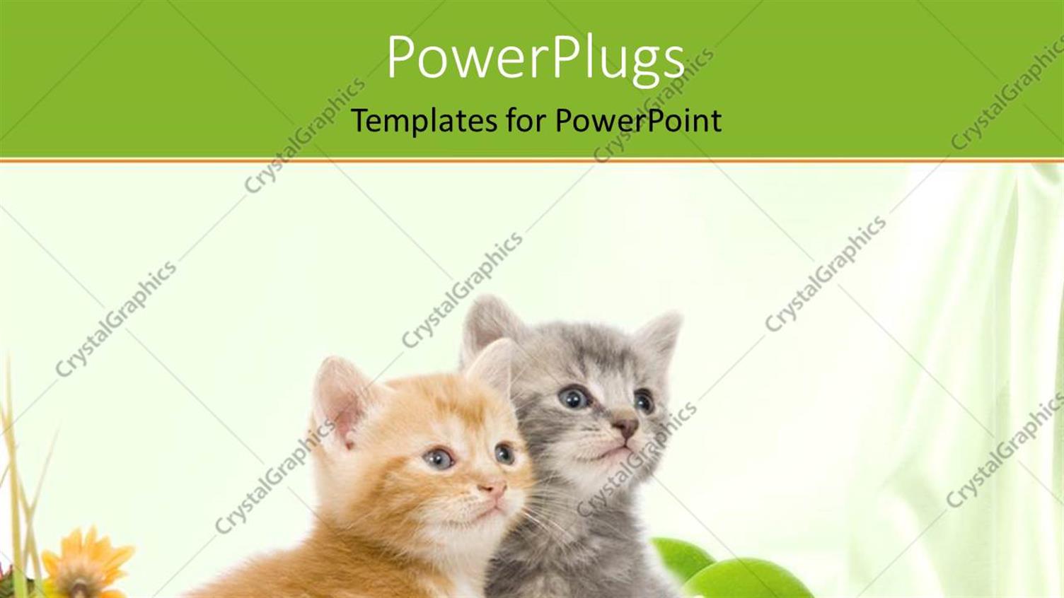 Premium Template for PowerPoint & Google Slides 