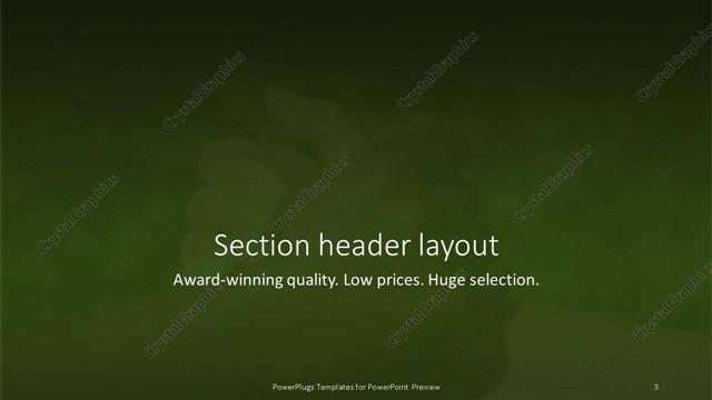 Section Header presentation slide layout