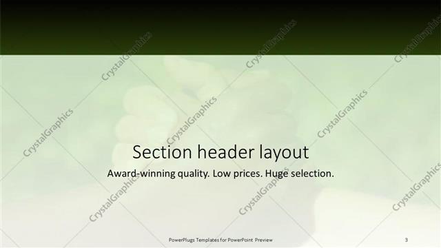 Section Header presentation slide layout