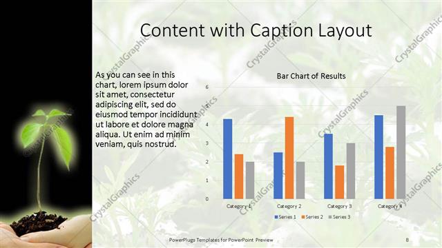 Content with Caption presentation slide layout