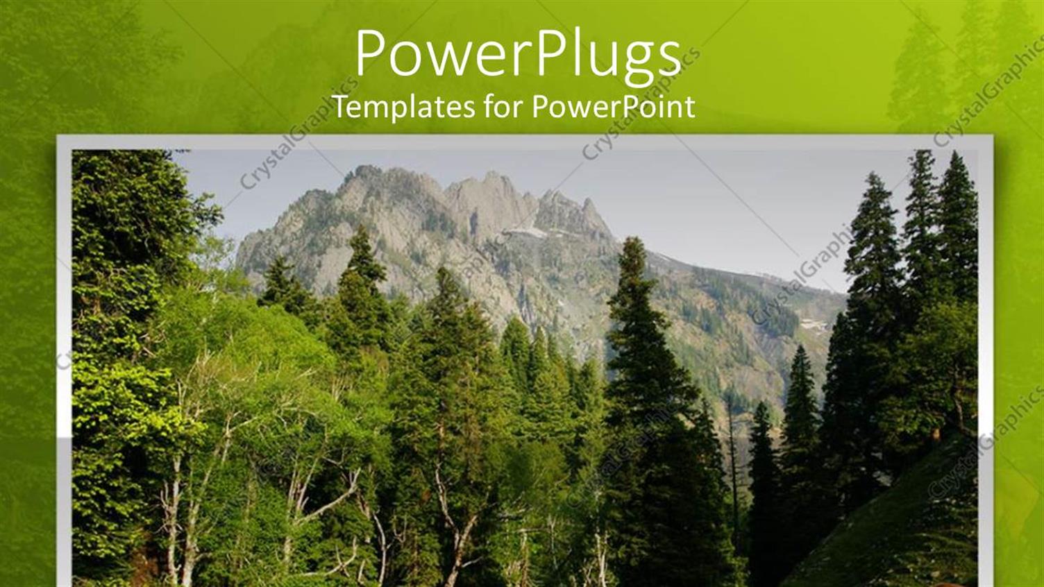 Premium Template for PowerPoint & Google Slides 
