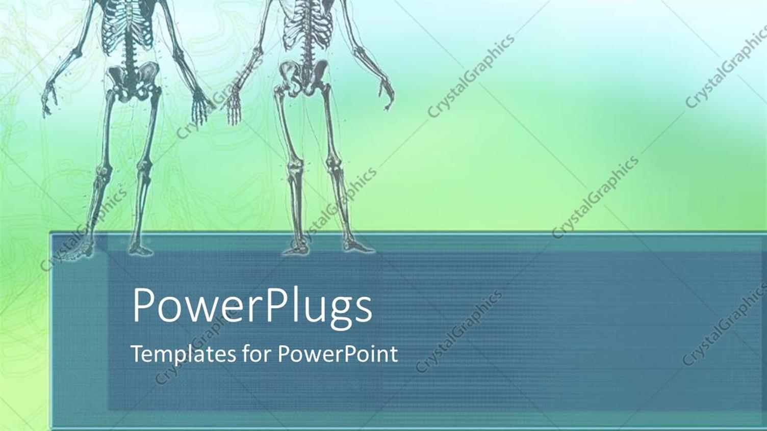 Premium Template for PowerPoint & Google Slides 