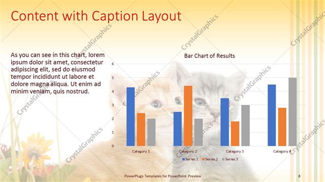 Content with Caption presentation slide layout