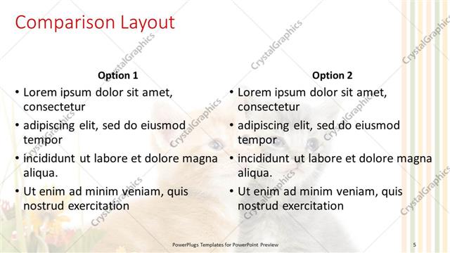 Comparison presentation slide layout