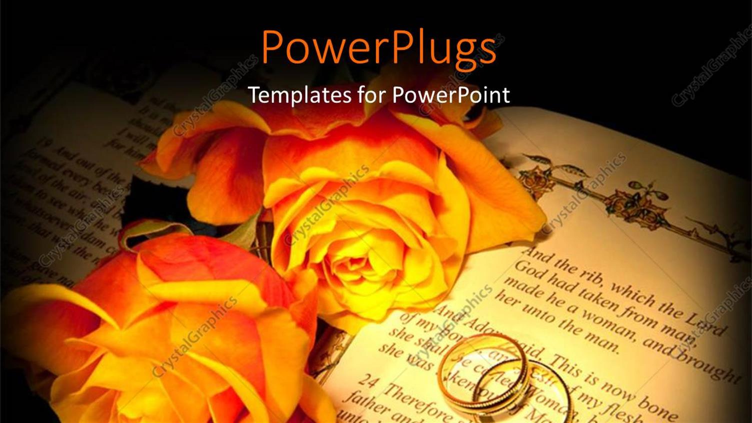 Premium Template for PowerPoint & Google Slides 