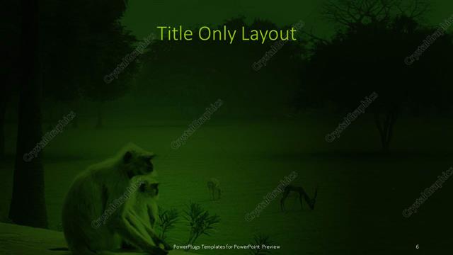 Title Only presentation slide layout