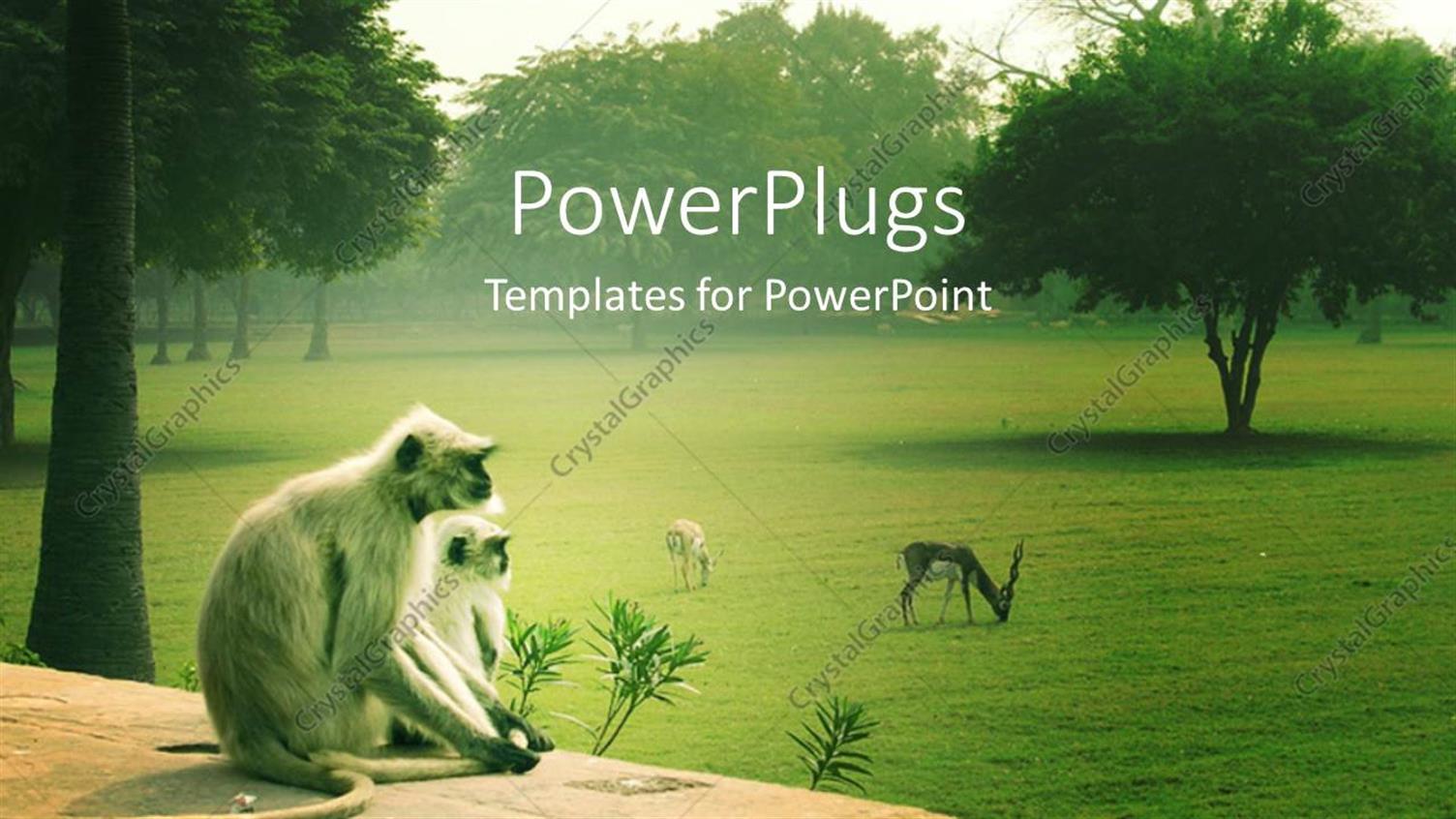 Premium Template for PowerPoint & Google Slides 