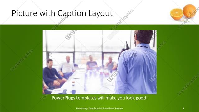 Picture with Caption presentation slide layout