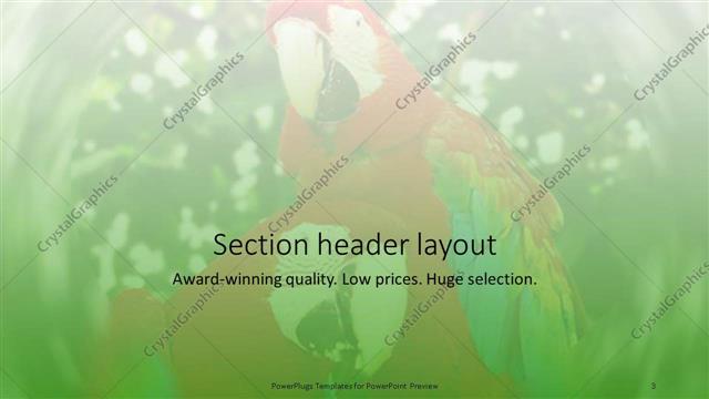 Section Header presentation slide layout