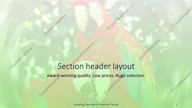Section Header presentation slide layout