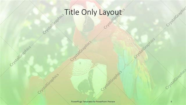 Title Only presentation slide layout