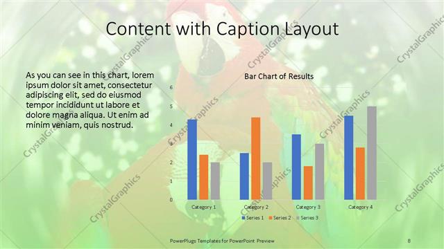 Content with Caption presentation slide layout