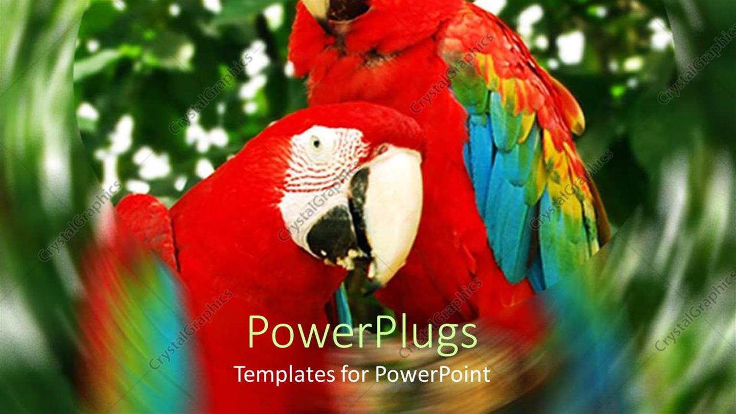 Premium Template for PowerPoint & Google Slides 