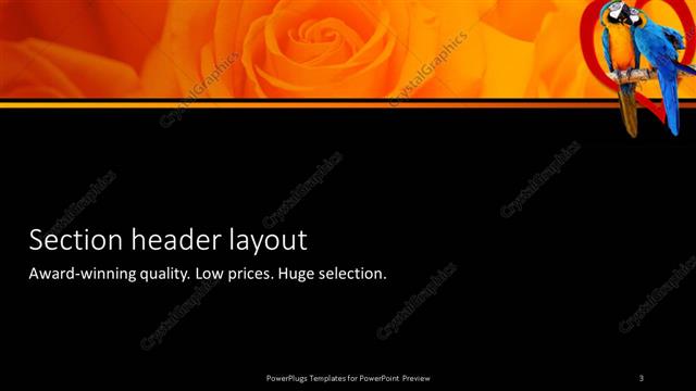 Section Header presentation slide layout
