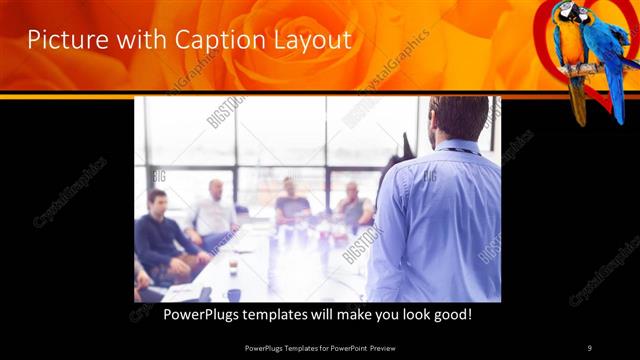 Picture with Caption presentation slide layout