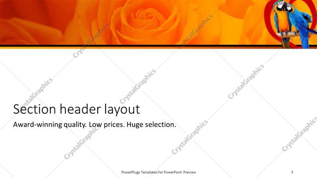 Section Header presentation slide layout