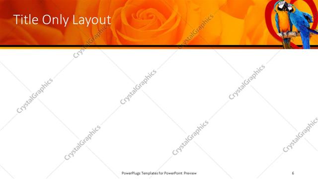 Title Only presentation slide layout