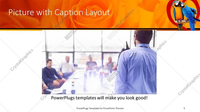 Picture with Caption presentation slide layout
