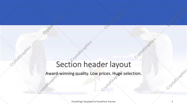 Section Header presentation slide layout