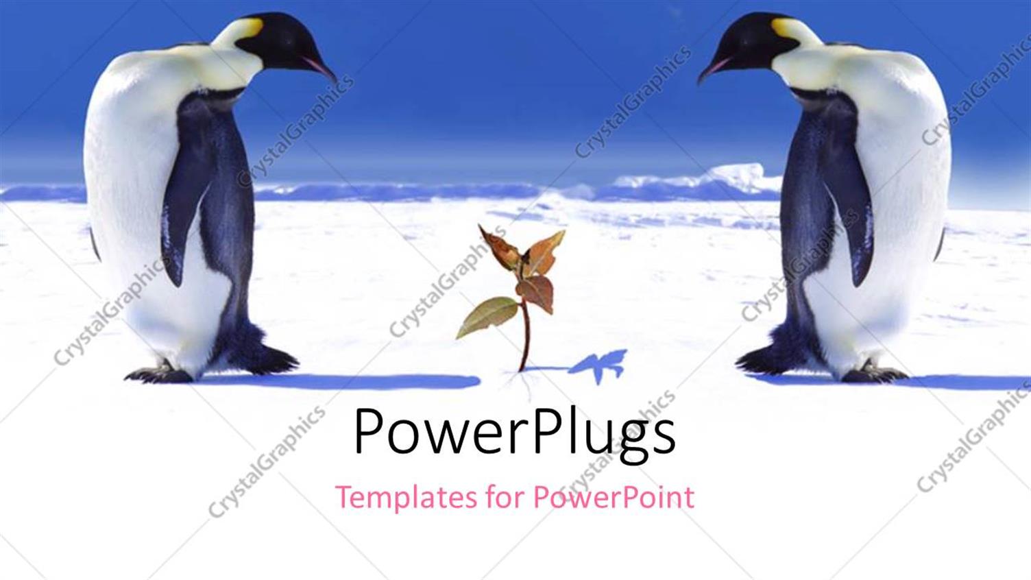 Premium Template for PowerPoint & Google Slides 