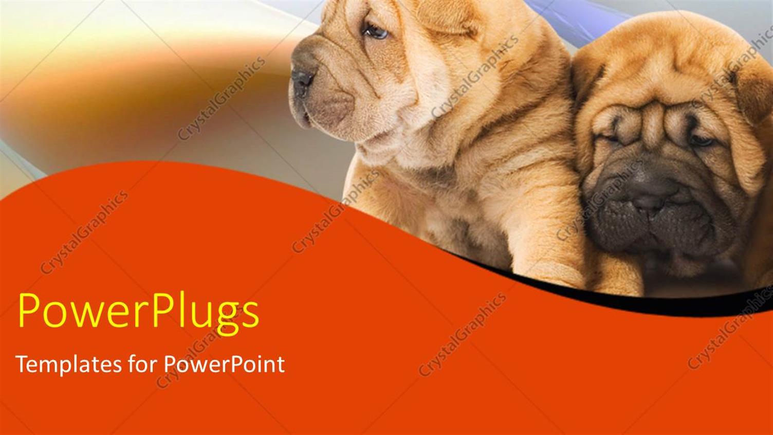 Premium Template for PowerPoint & Google Slides 