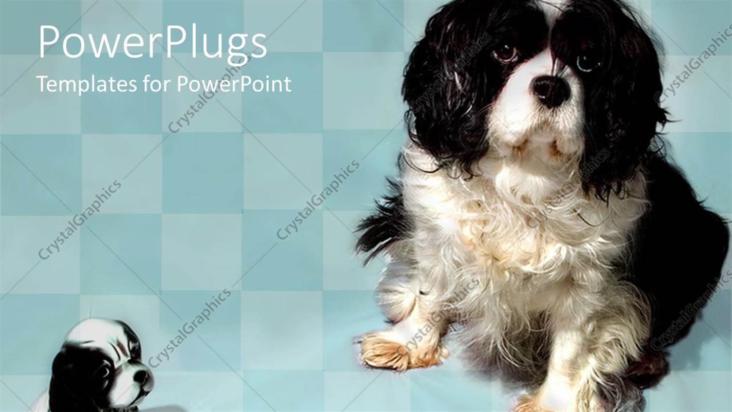 Featuring Two Puppies Together with Boxes in the Background