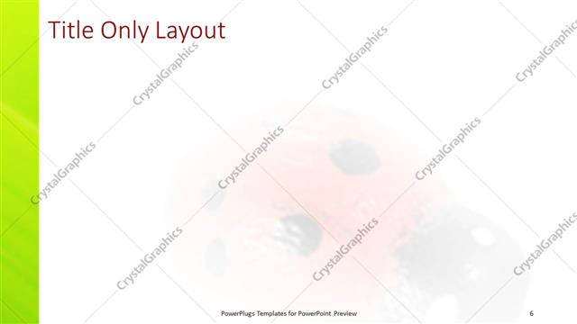 Title Only presentation slide layout