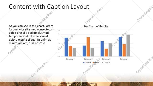 Content with Caption presentation slide layout